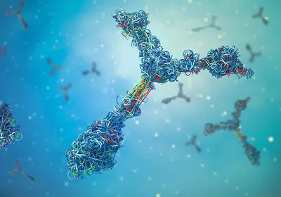 Characterizing SARS-CoV-2 Antibody Responses in COVID-19 Patients
